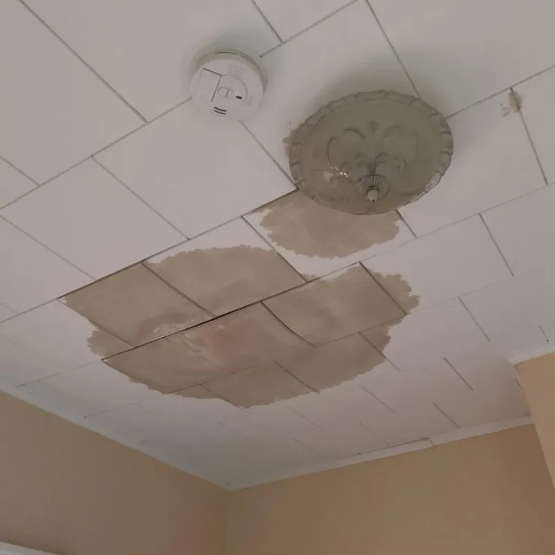 Ceiling Water Damage Repair in Ravenswood, WV