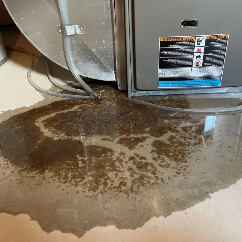 Pipe Burst and Leak Restoration in Ravenswood, WV