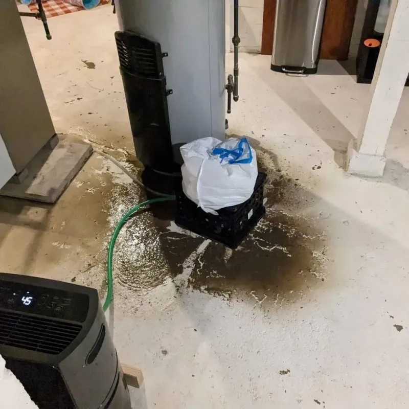 Sewage Backup Cleanup Service in Ravenswood, WV